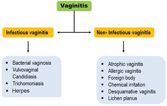 Types of vaginitis